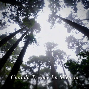 Postes Y Luciérnagas