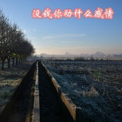 梅花弄弄弄 (DJ版)