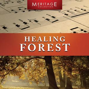 Caves of Creativity (with nature sounds)