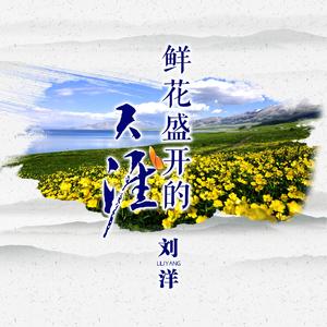 鲜花盛开的天涯