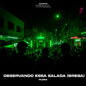 Observando Essa Salada (Brega) (feat. CAMPING VIRAL)