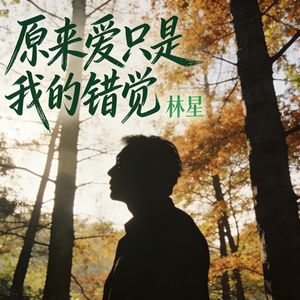 原来爱只是我的错觉