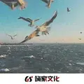 众志成城 (DJ版)