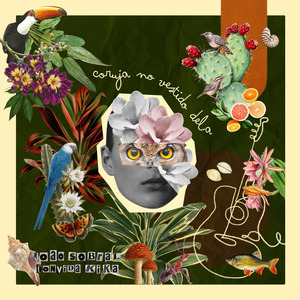 Coruja no Vestido Dela