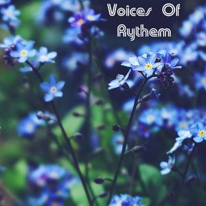 Voices Of Rythem