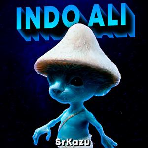 BEAT INDO ALI (Funk Remix)