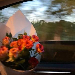 这世界喜欢善忘