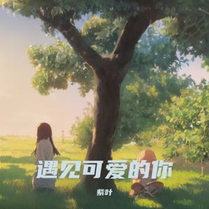 遇见可爱的你