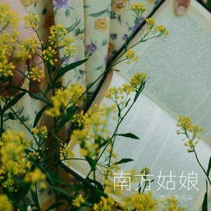 南方姑娘(手机录制版)