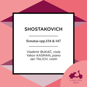 Sonata for Violin and Piano in G Major, Op. 134: III. Largo (Theme and Variations)