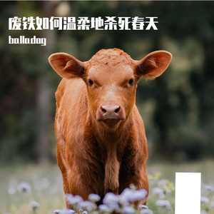 如何饲养一只濒临灭绝的动物