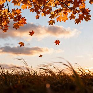 今生注定是错过