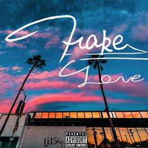 Fake Love（prod by 金桔0RANG3）