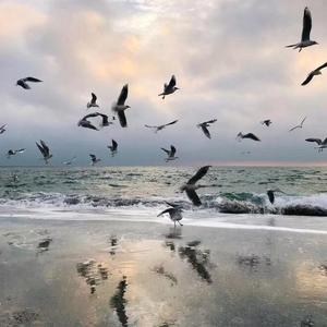 Shirfine-曾经和你一起欢笑的人还在嘛（幻昼 bootleg）（明洋Remix remix）