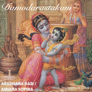 Damodarastakam