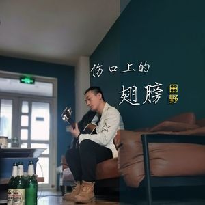 伤口上的翅膀（伴奏）