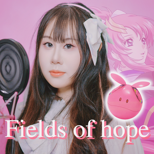 Fields of hope《机动战士高达SEED》IN（cover：田中理恵）