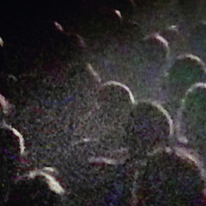 Minuit dans tes bras, pt. 2 (Live)