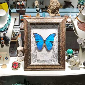 镜中蝶 （科幻短剧《寻找机器人》插曲）