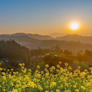 忘记比相遇更需要勇气