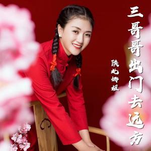 三哥哥出门去远方 (DJ版)