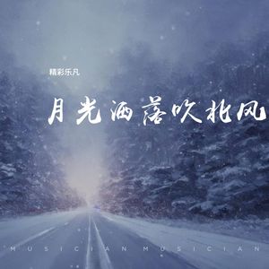 月光洒落吹北风