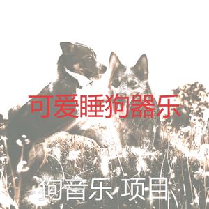 优美训练犬器乐