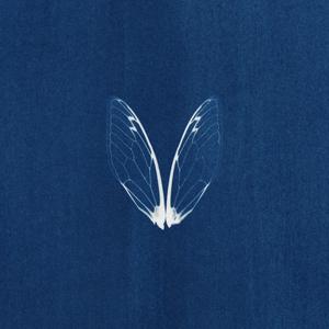 zainuddin (feat. Adelyn Strei)