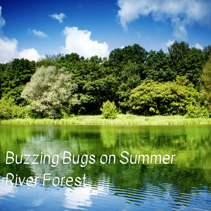 Buzzing Bugs on Summer River Forest - 1 Hour