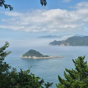 소주가미안해지는밤