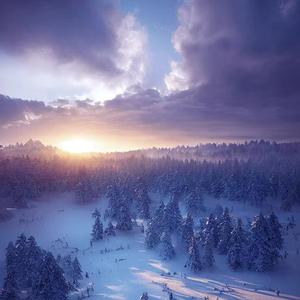 我还是忘不掉你