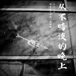 从不暗淡的晚上