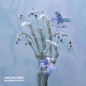 Remembr (Skylark Remix)