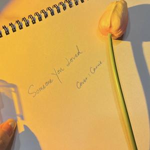 Someone You Loved(国人女声)