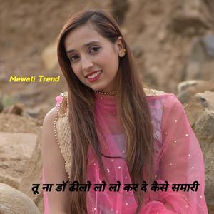 तू ना डॉ ढीलो लो लो कर दे कैसे समारी