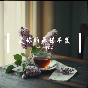 爱你的承诺不变 伴奏