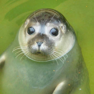 Kill'em in the club with this one