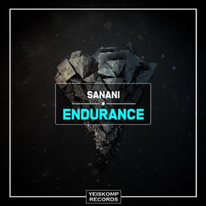 Endurance (Original Mix)
