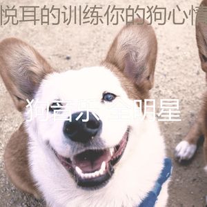 柔和的可爱的狗时刻