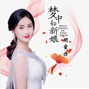 梦中的新娘 (DJ版)