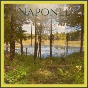 Leon Payne I Love You Because