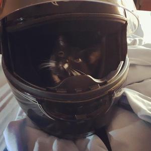 Fish bowl world/red neck rap