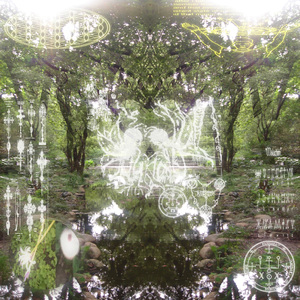 Τραγουδάει στο δάσος