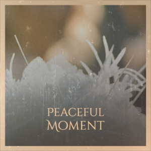 Peaceful Moment