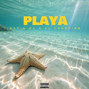 PLAYA