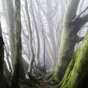 未知的(Prod. by MEGA)