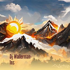 Dj Wallerman- Ins (Cover)