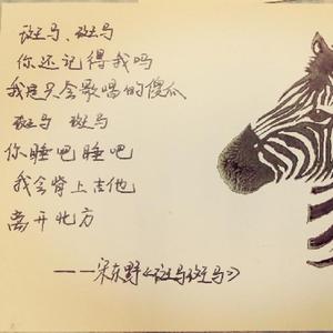 斑马斑马