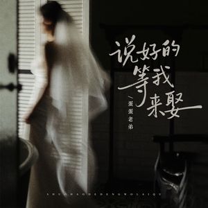说好的等我来娶（伴奏）