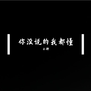 你没说的我都懂